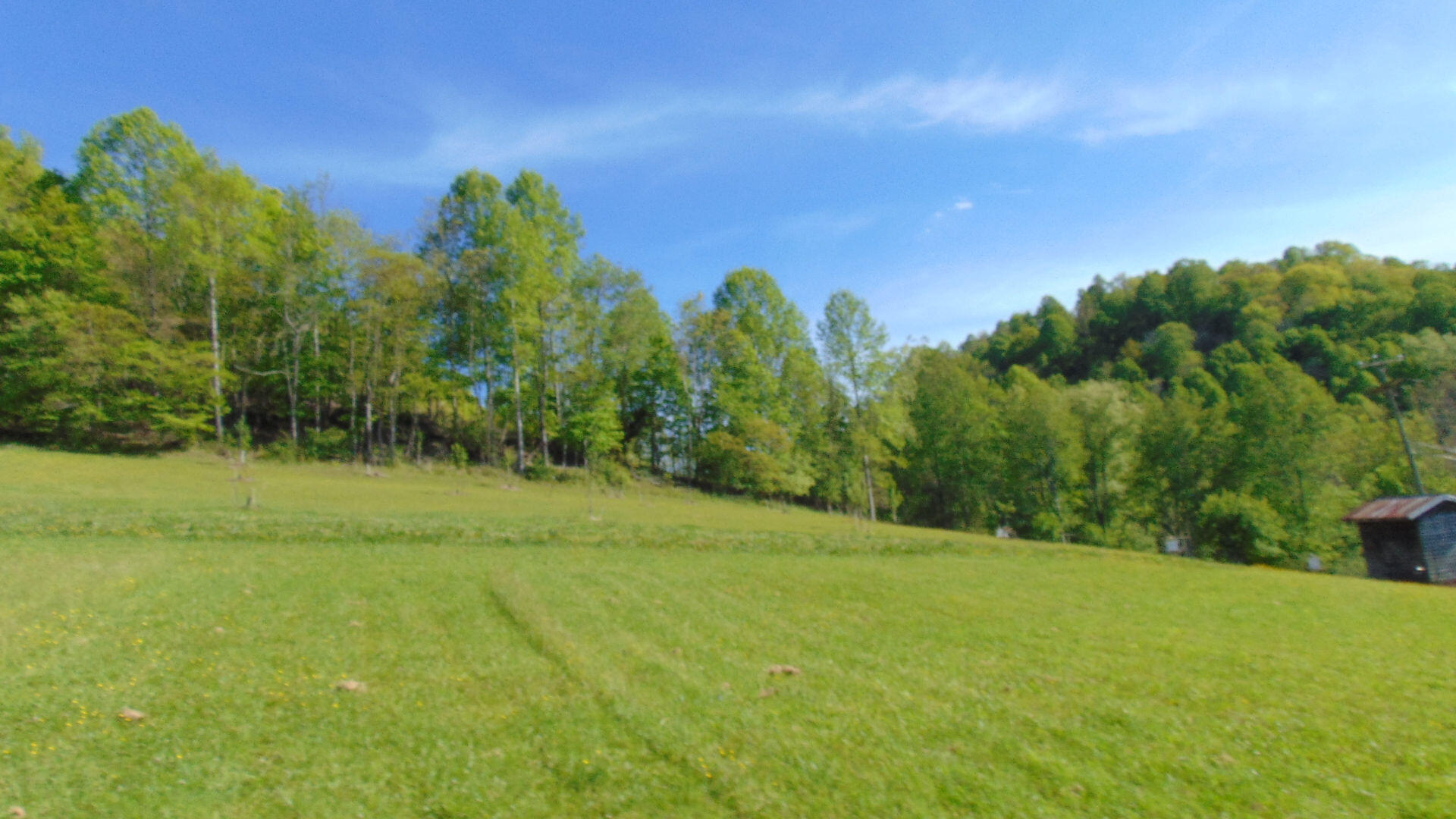 17520 Rich Valley Road Abingdon, VA 24210 - Photo 20 of 30 17520 richvalley land9