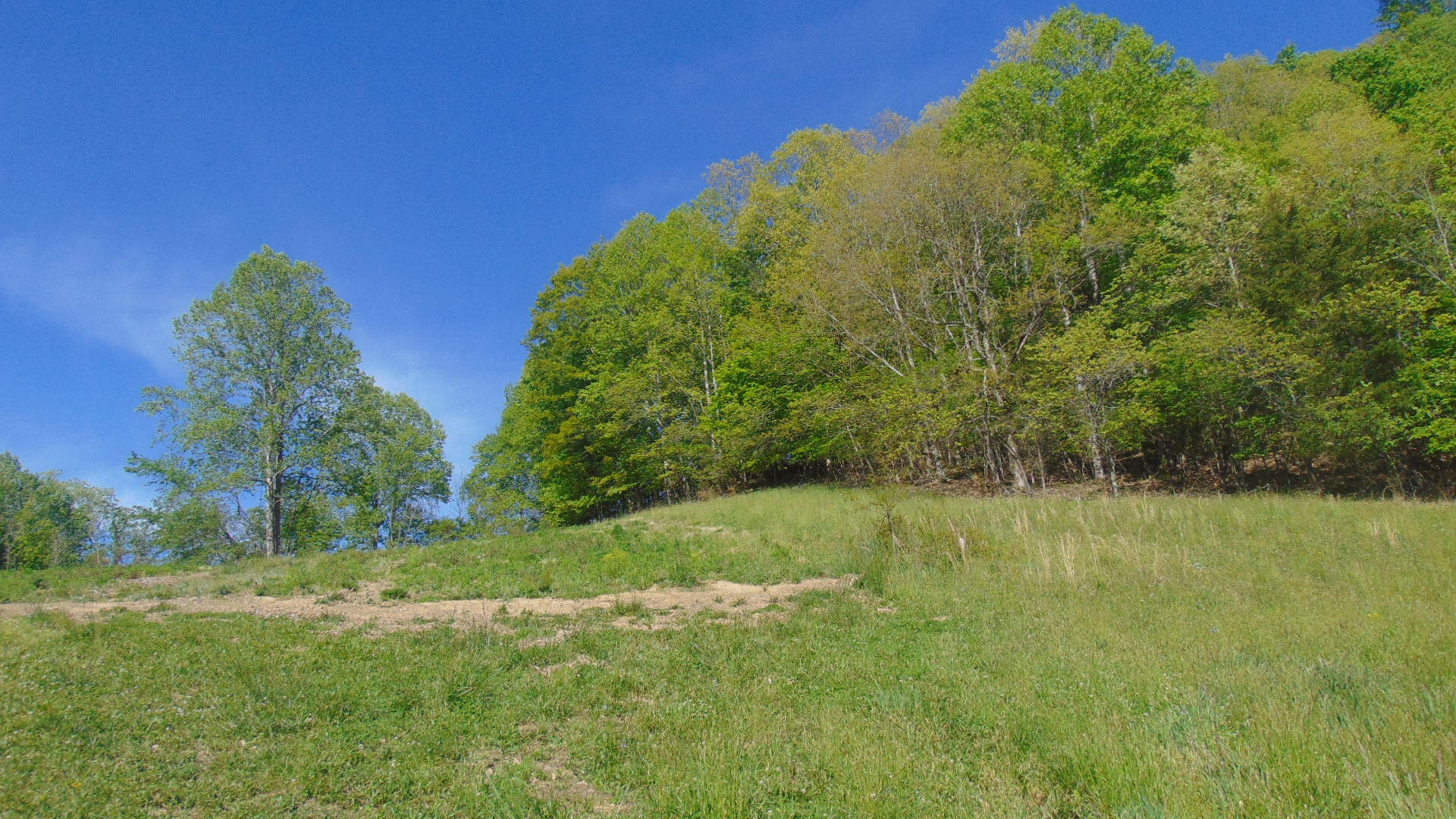 17520 Rich Valley Road Abingdon, VA 24210 - Photo 21 of 30 17520 richvalley land11