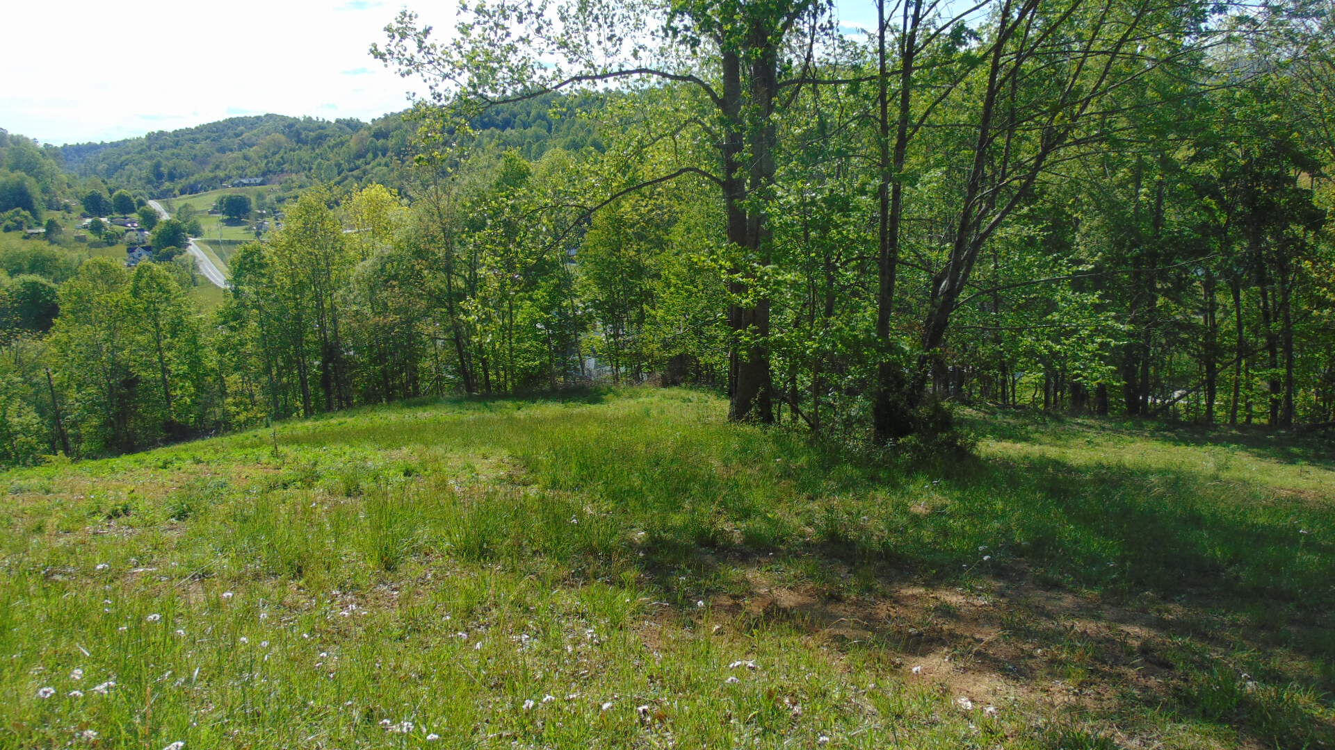 17520 Rich Valley Road Abingdon, VA 24210 - Photo 24 of 30 17520 richvalley land14
