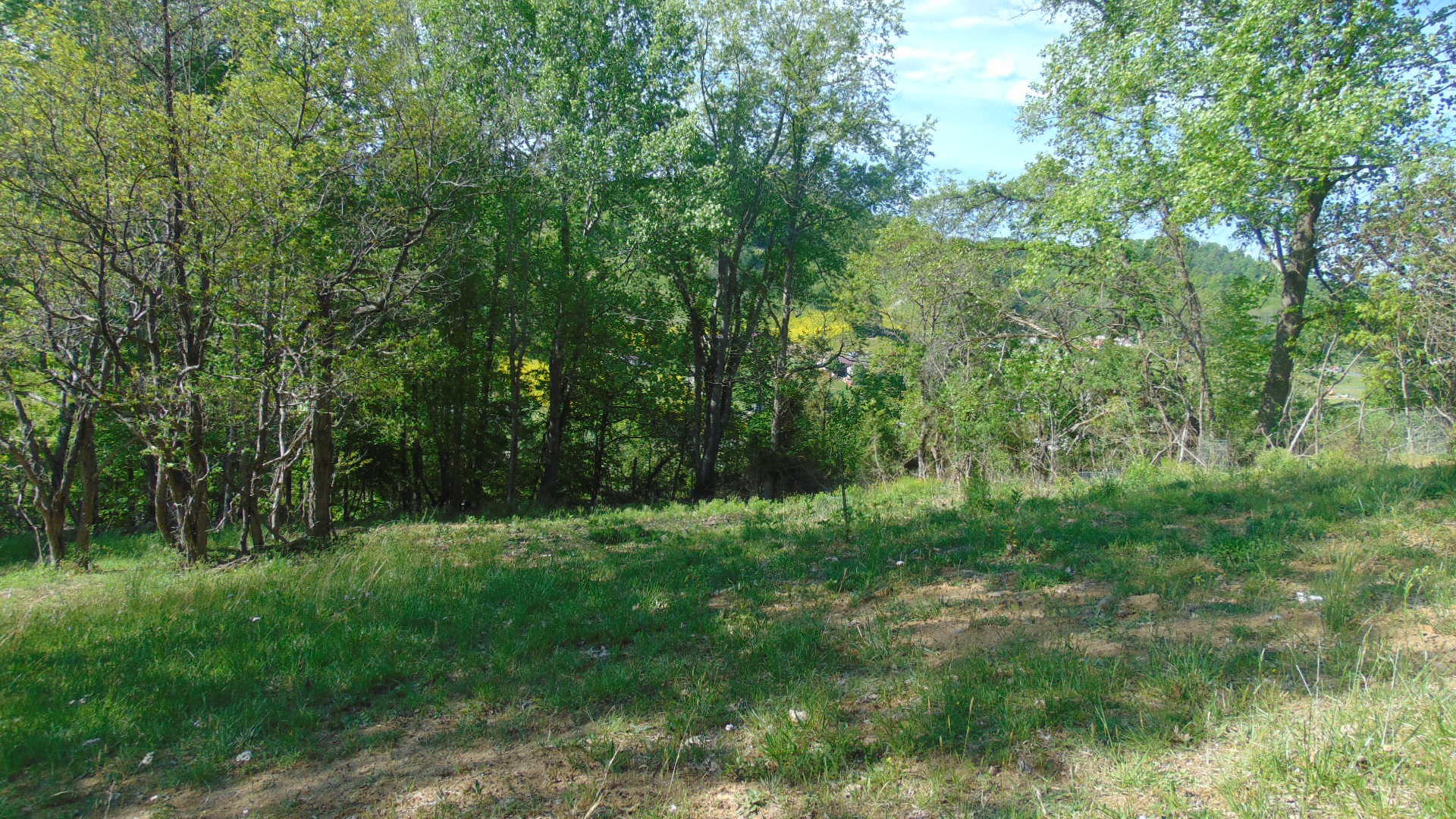 17520 Rich Valley Road Abingdon, VA 24210 - Photo 25 of 30 17520 richvalley land15