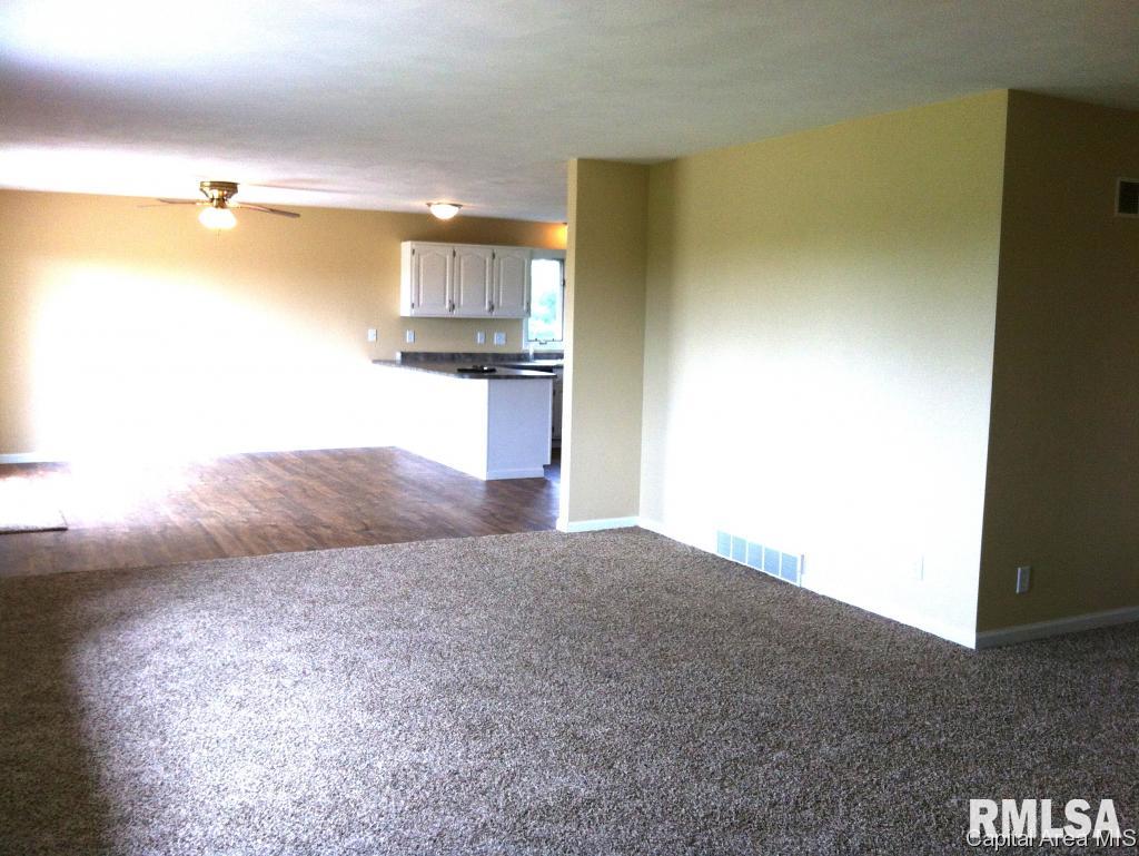 7662 New City Road Rochester, IL 62563 - Photo 20 of 36