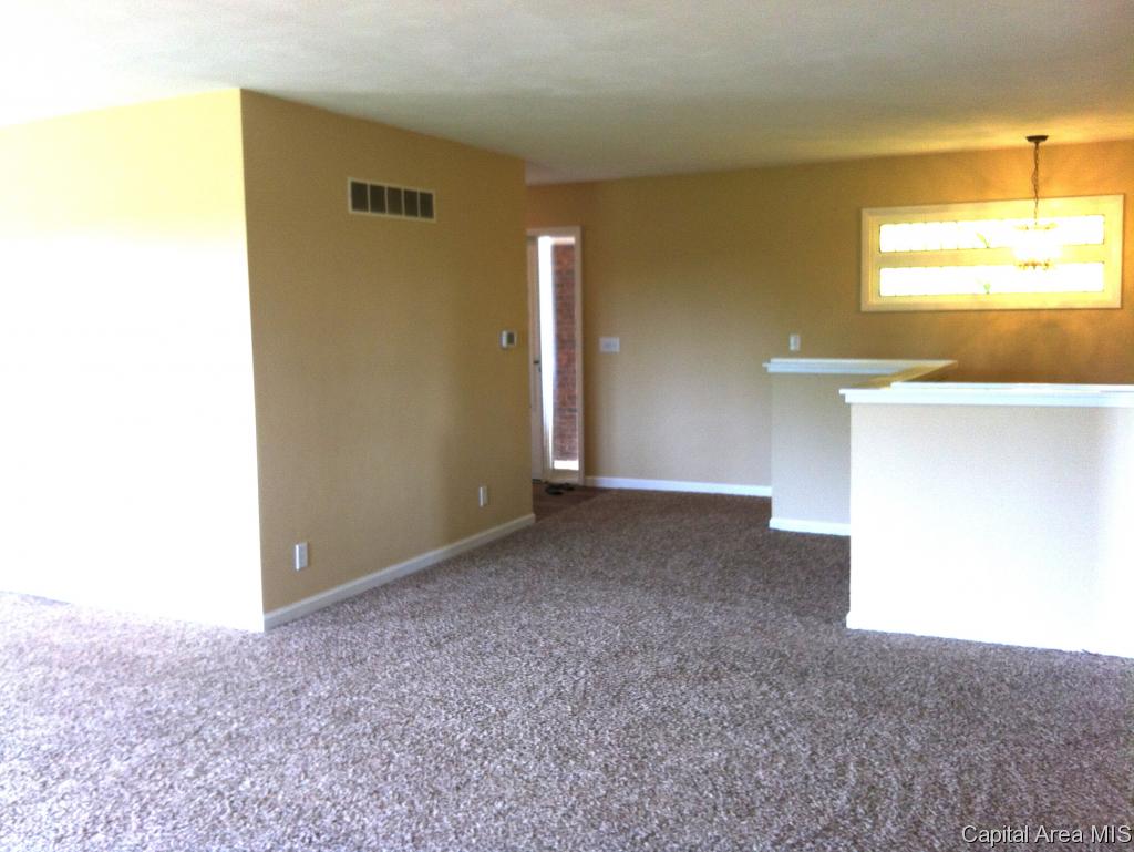 7662 New City Road Rochester, IL 62563 - Photo 22 of 36