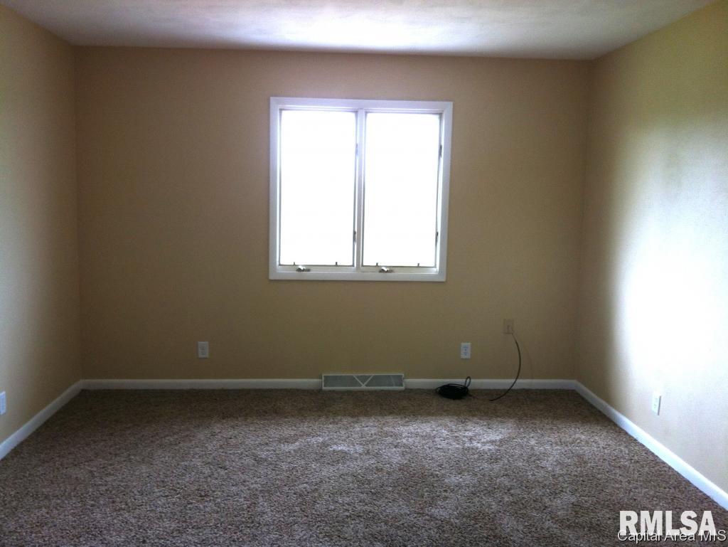 7662 New City Road Rochester, IL 62563 - Photo 23 of 36