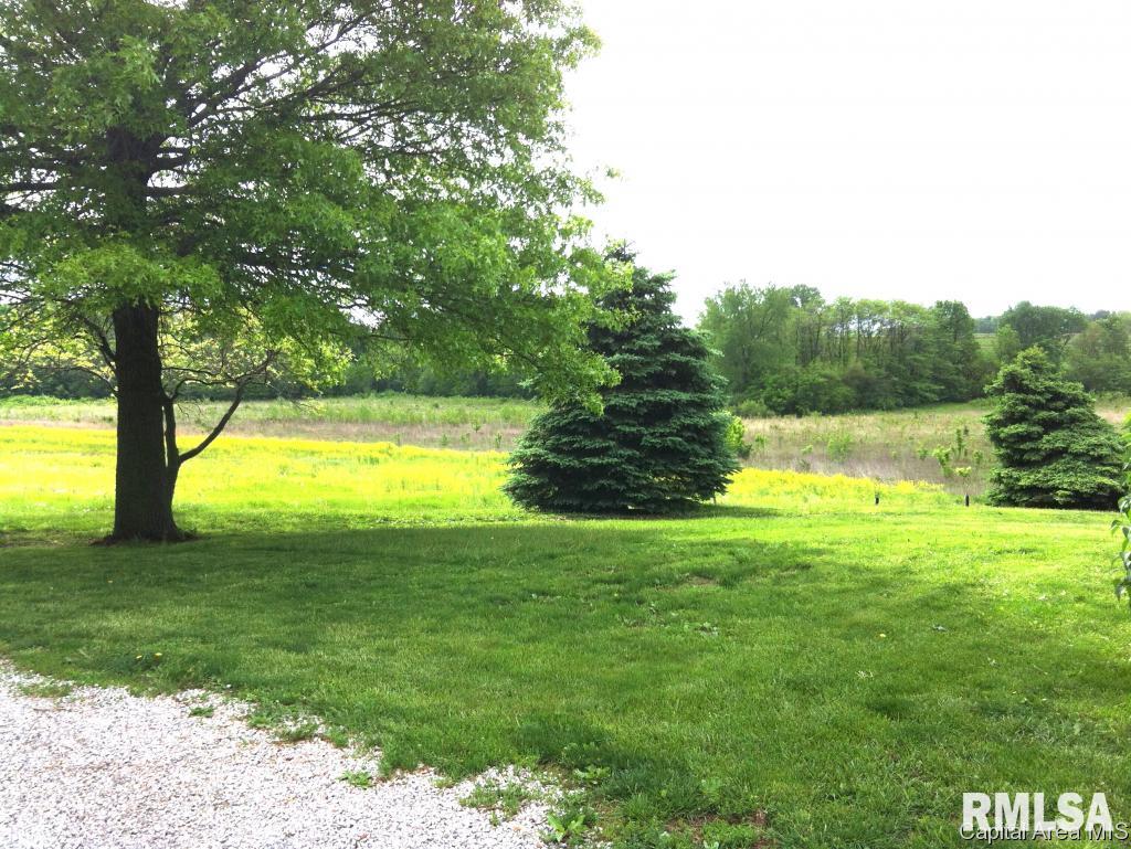 7662 New City Road Rochester, IL 62563 - Photo 6 of 36