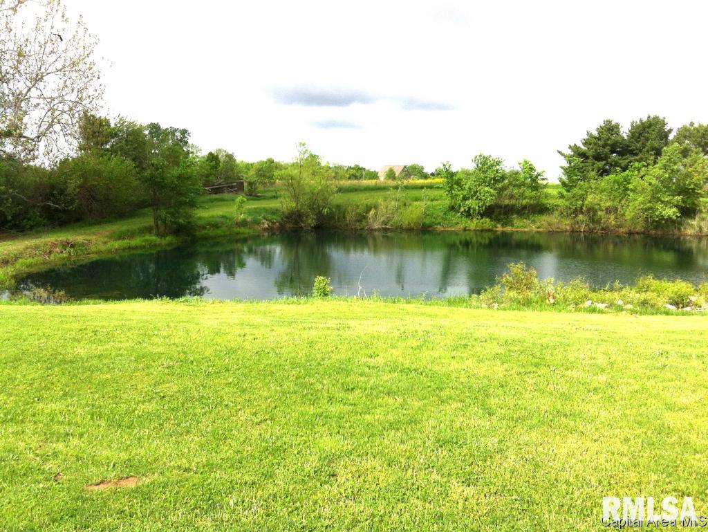 7662 New City Road Rochester, IL 62563 - Photo 8 of 36