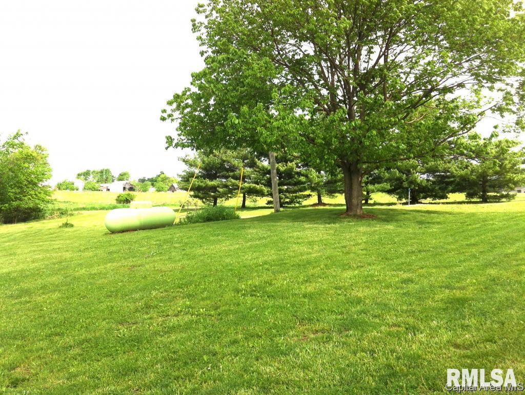 7662 New City Road Rochester, IL 62563 - Photo 9 of 36