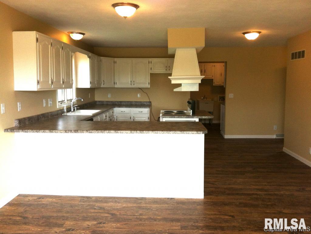 7662 New City Road Rochester, IL 62563 - Photo 10 of 36