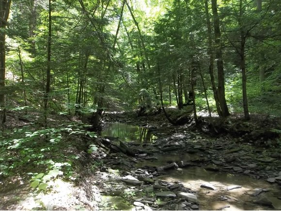 0 Sulpher Springs Road Owego, NY 13827 - Photo 3 of 6 Gallery Image 3