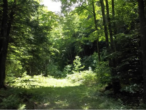 0 Sulpher Springs Road Owego, NY 13827 - Photo 6 of 6 Gallery Image 6