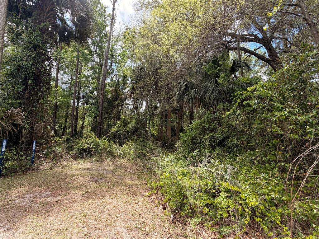 445 A County Road Astor, FL 32102 - Photo 2 of 8 Gallery Image 2