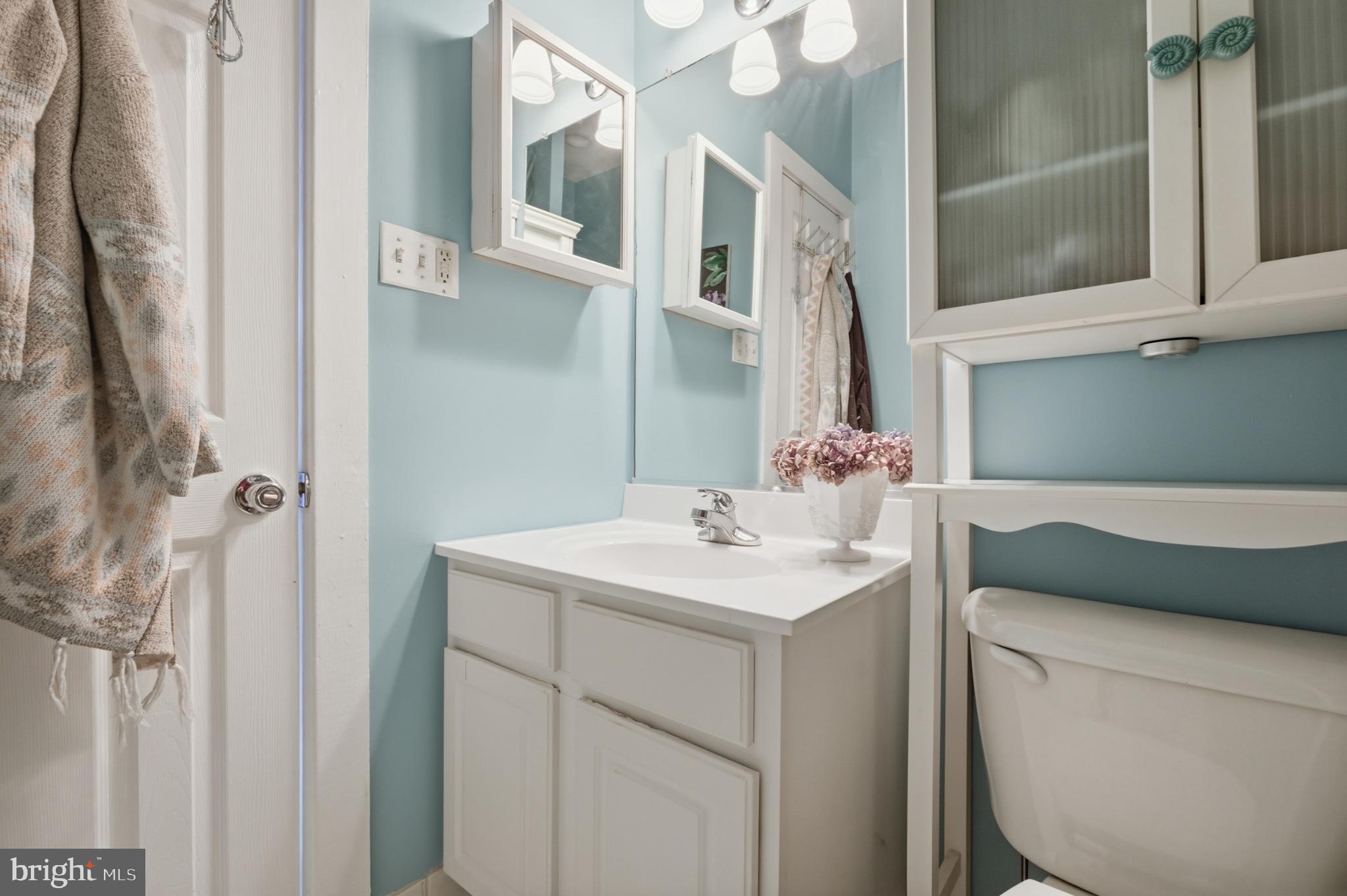 22 North Main Street, Unit 6 Doylestown, PA 18901 - Photo 14 of 21 Charming bathroom with serene blue hues.