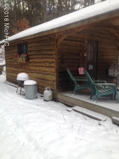 22540 North N Ridge Tustin, MI 49688 - Photo 7 of 12 side of cabin