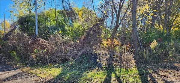 $40,000 | 5613 Baker Avenue, Niagara Falls, NY 14304