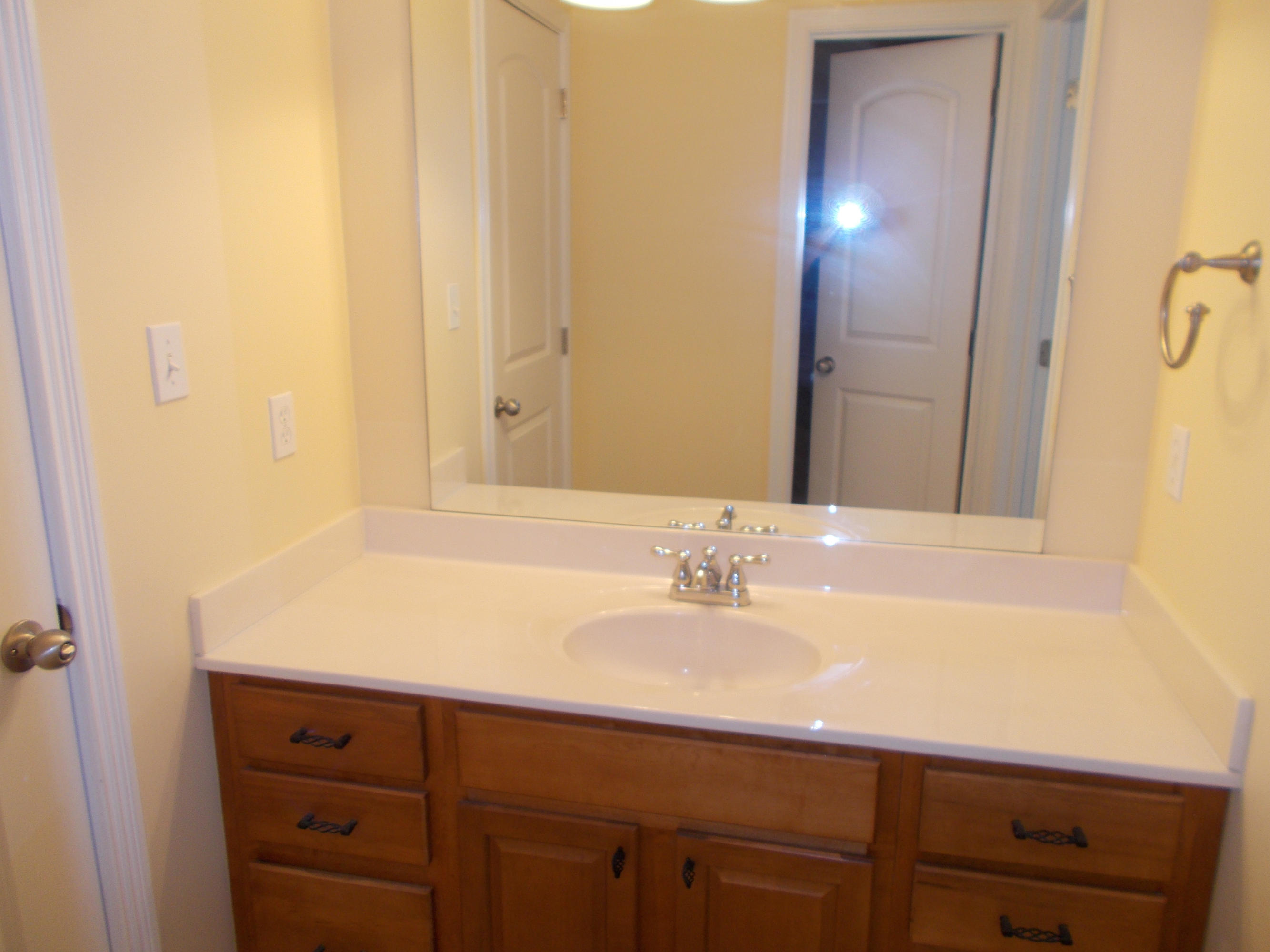 619 Green Ridge Road Seymour, TN 37865 - Photo 22 of 40 Vanity with storage