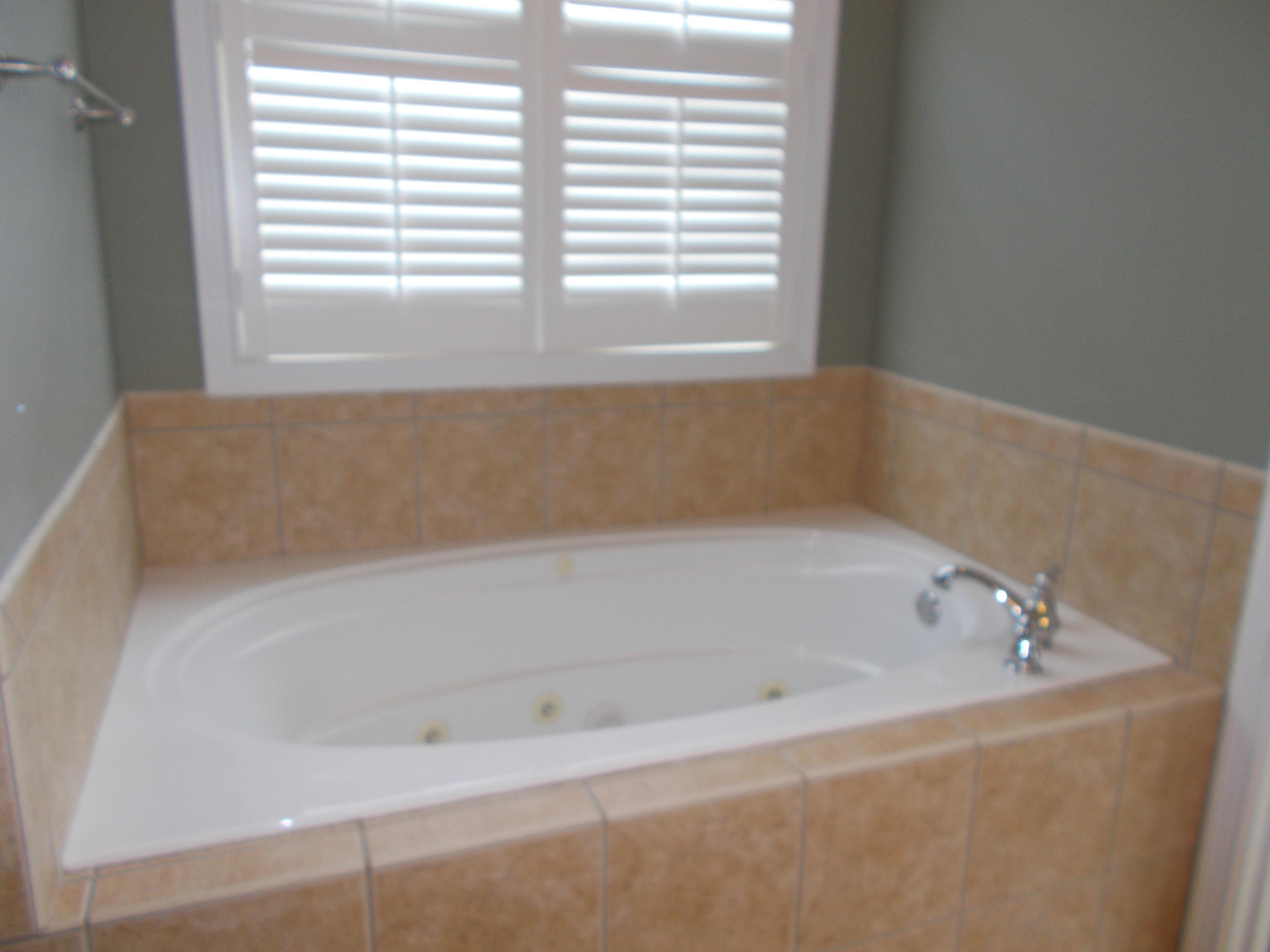 619 Green Ridge Road Seymour, TN 37865 - Photo 27 of 40 Garden tub with jets
