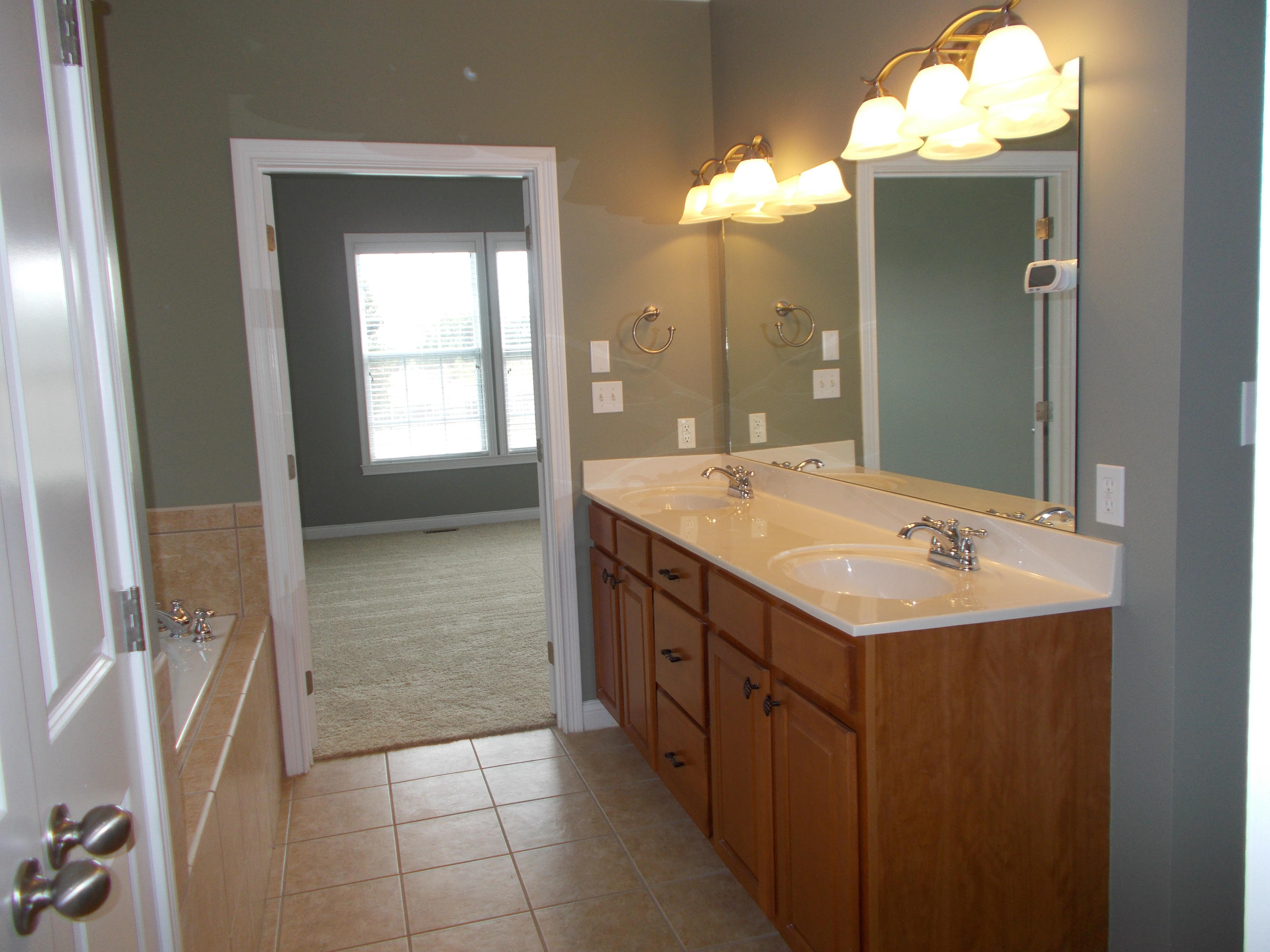 619 Green Ridge Road Seymour, TN 37865 - Photo 28 of 40 Master Double vanity with great storage