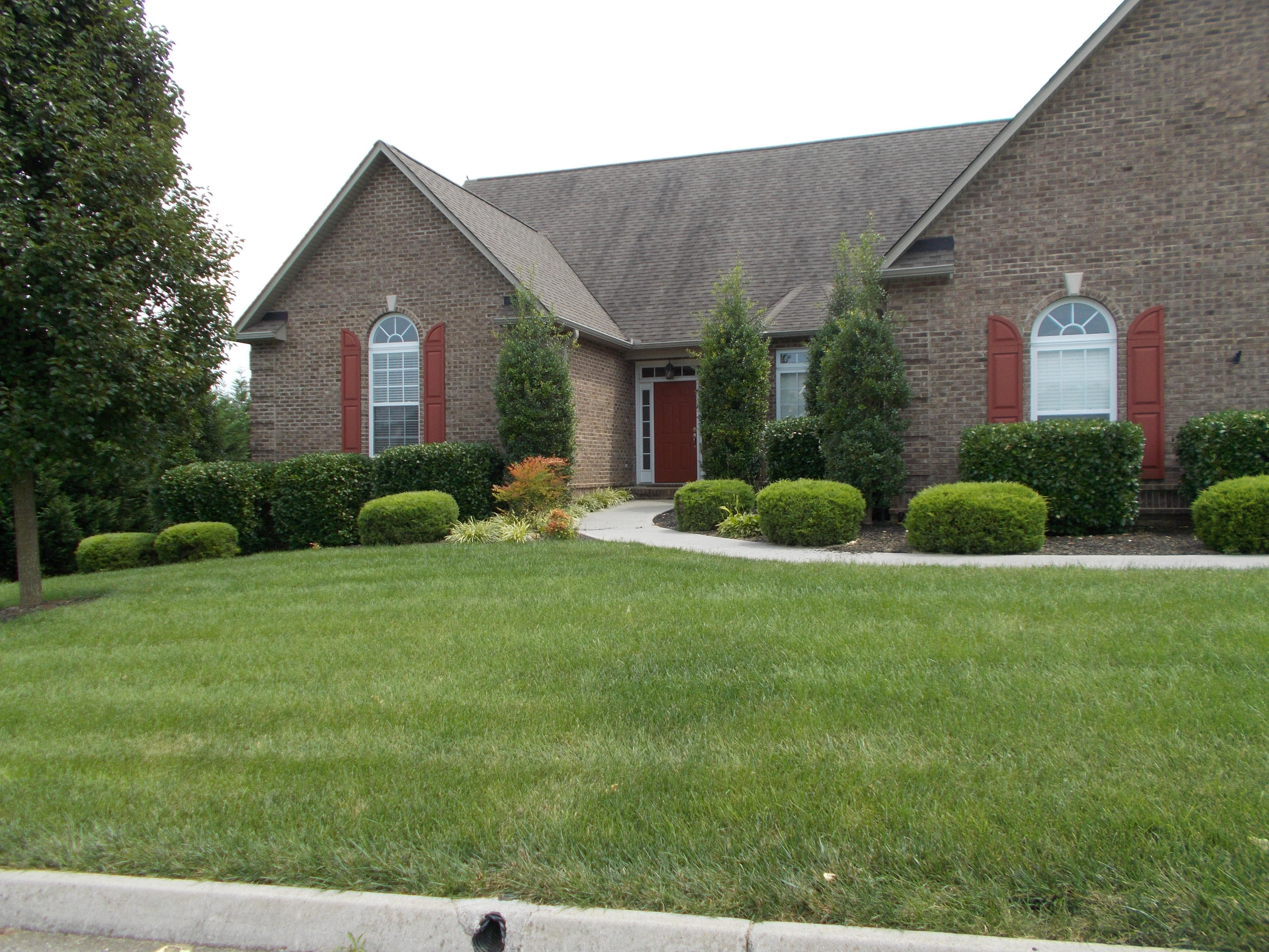 619 Green Ridge Road Seymour, TN 37865 - Photo 39 of 40 Beautifully landscaped yard