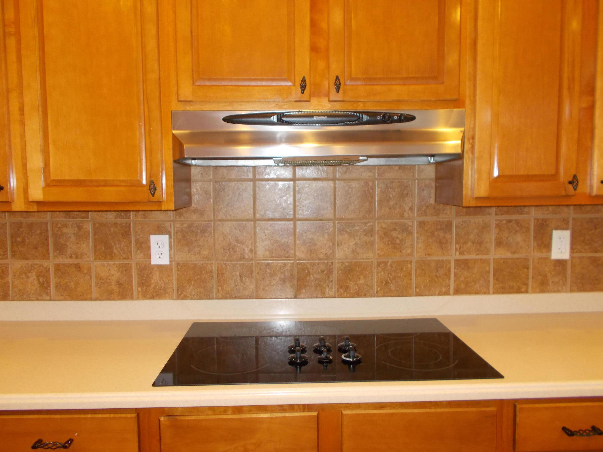 619 Green Ridge Road Seymour, TN 37865 - Photo 8 of 40 Stove and hood