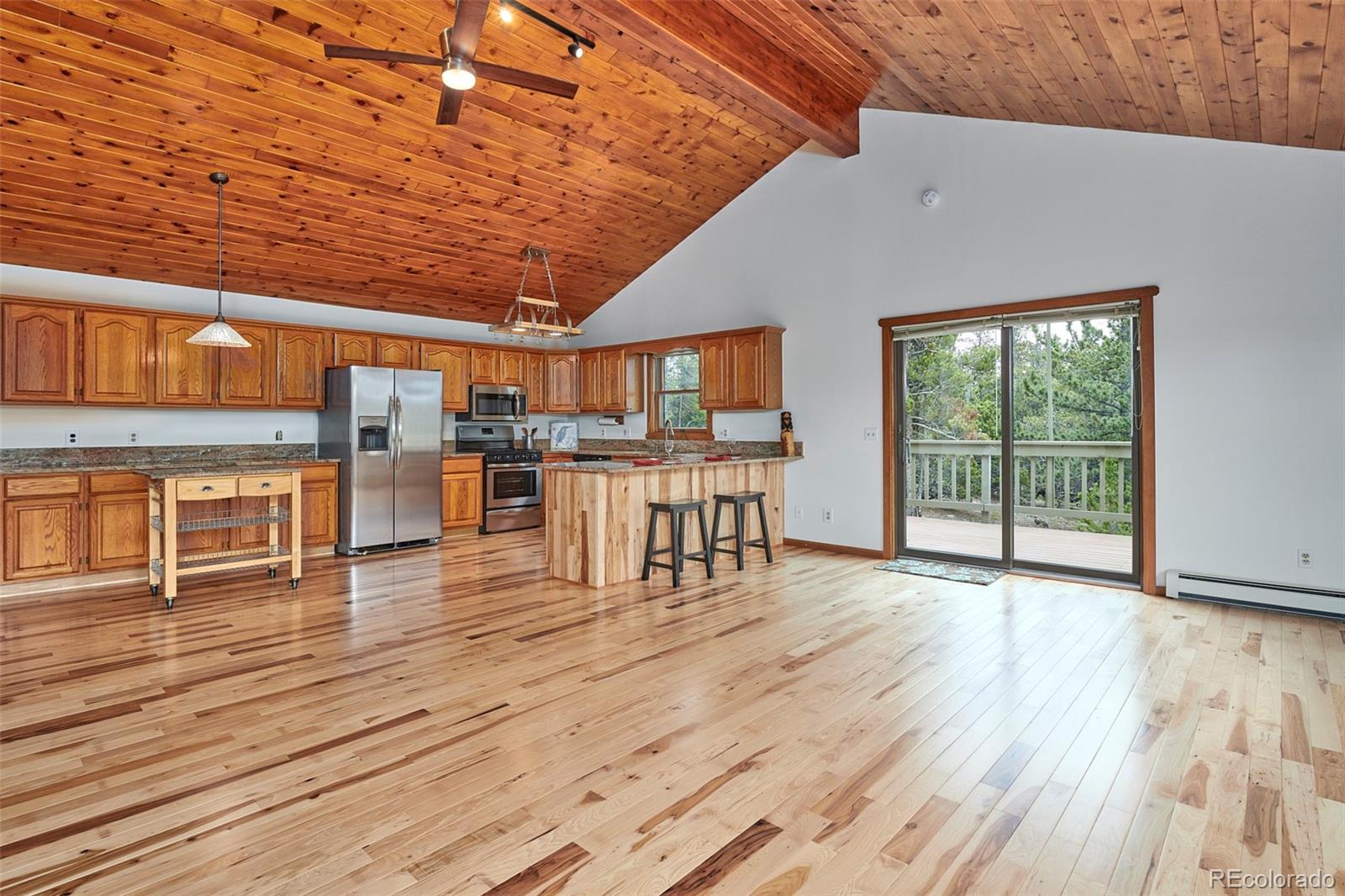 483 North Beaver Road Black Hawk, CO 80422 - Photo 4 of 27 Gallery Image 4