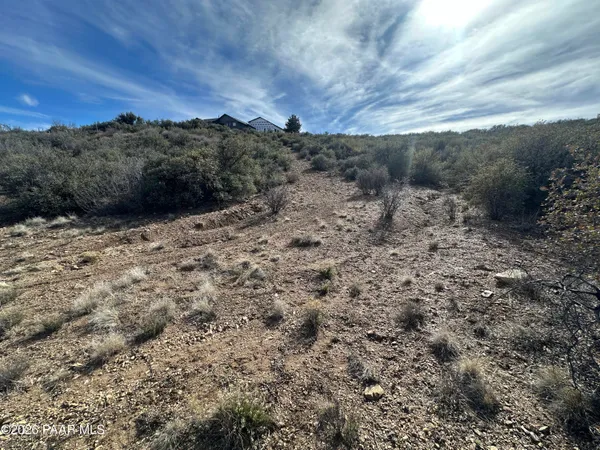 a view of a dry yard