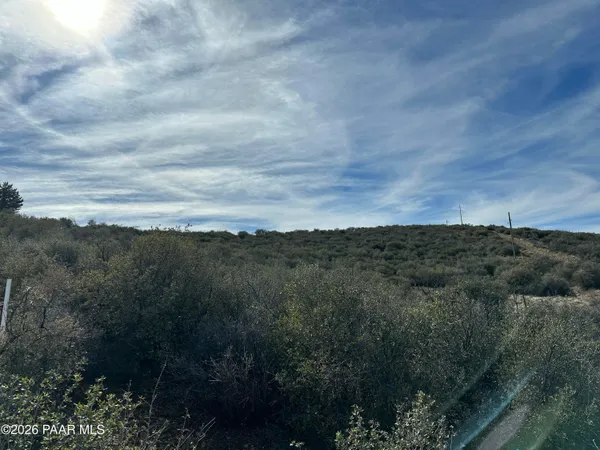 a view of a yard in front of a house