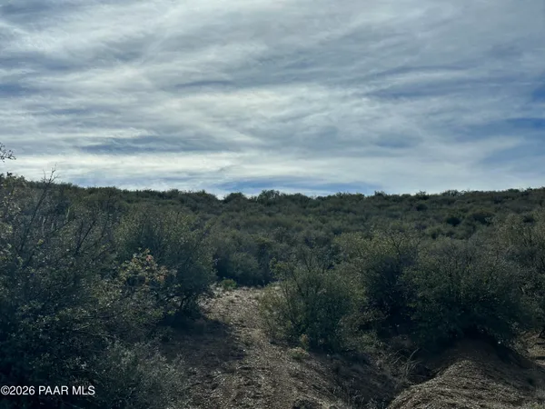 a view of a yard with a stove