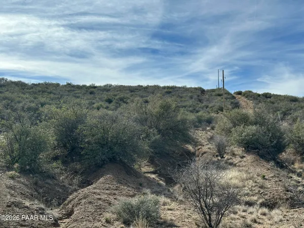 a view of a city with lush green forest