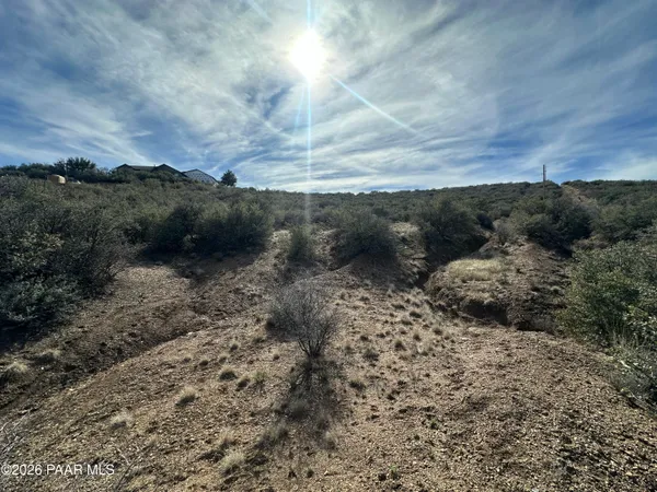 a view of a yard with a tree in the background