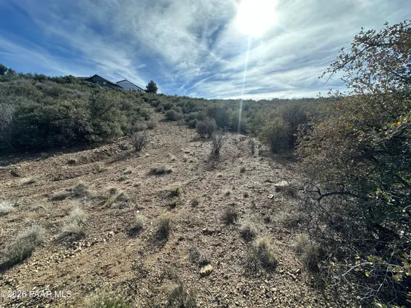 a view of a dry yard with wooden fence
