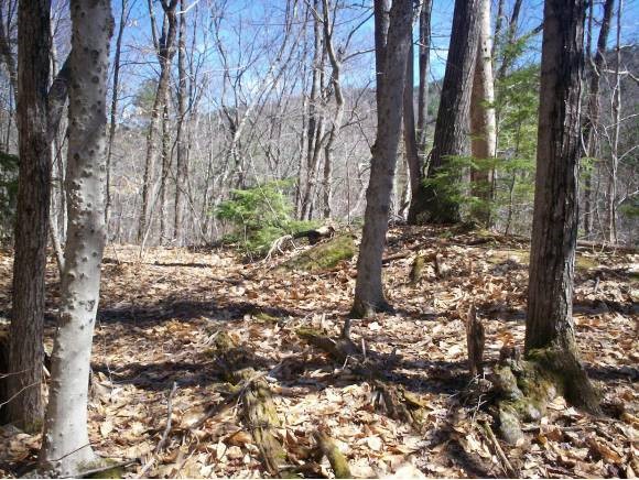 153 Nh Rt Madison, NH 03849 - Photo 2 of 18