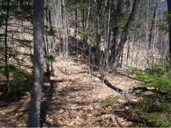 153 Nh Rt Madison, NH 03849 - Photo 3 of 18