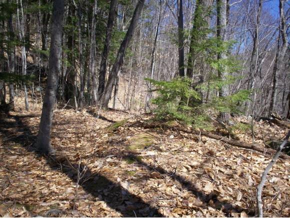 153 Nh Rt Madison, NH 03849 - Photo 4 of 18