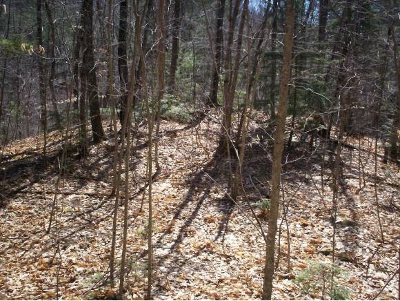 153 Nh Rt Madison, NH 03849 - Photo 6 of 18