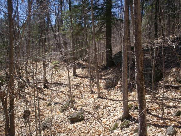 153 Nh Rt Madison, NH 03849 - Photo 7 of 18