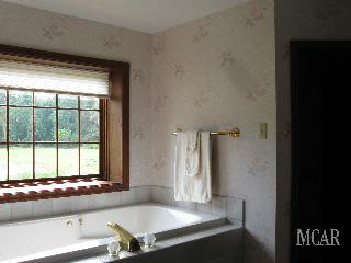 3525 West Erie Road Temperance, MI 48182 - Photo 20 of 20 Master Bath