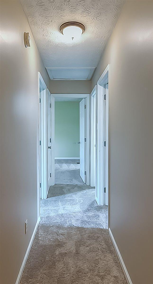 3572 Boston Road Lexington, KY 40503 - Photo 13 of 31 Photo 13