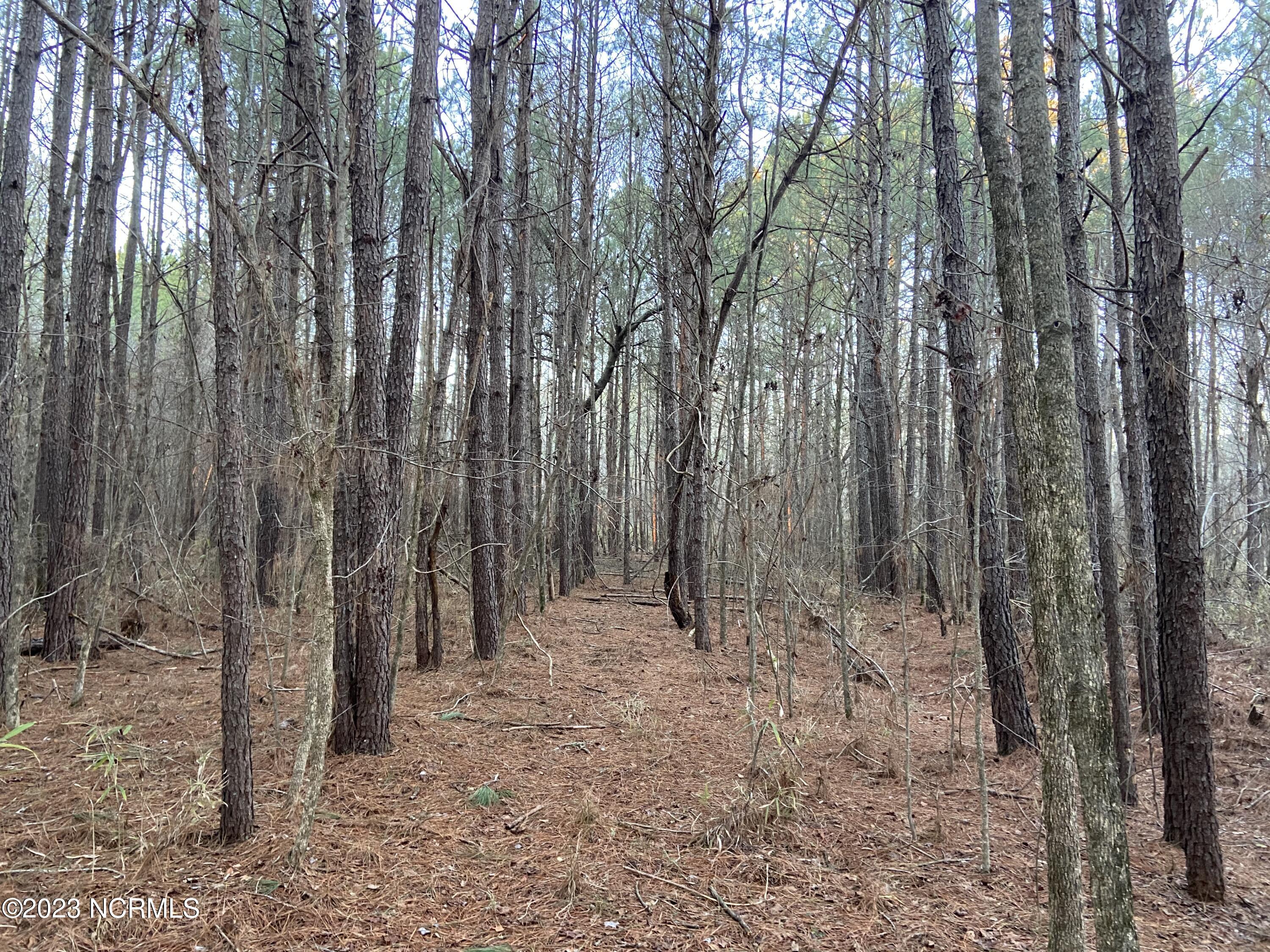 0 Autry Road Rocky Mount, NC 27803 - Photo 13 of 18 0 Autry Rd