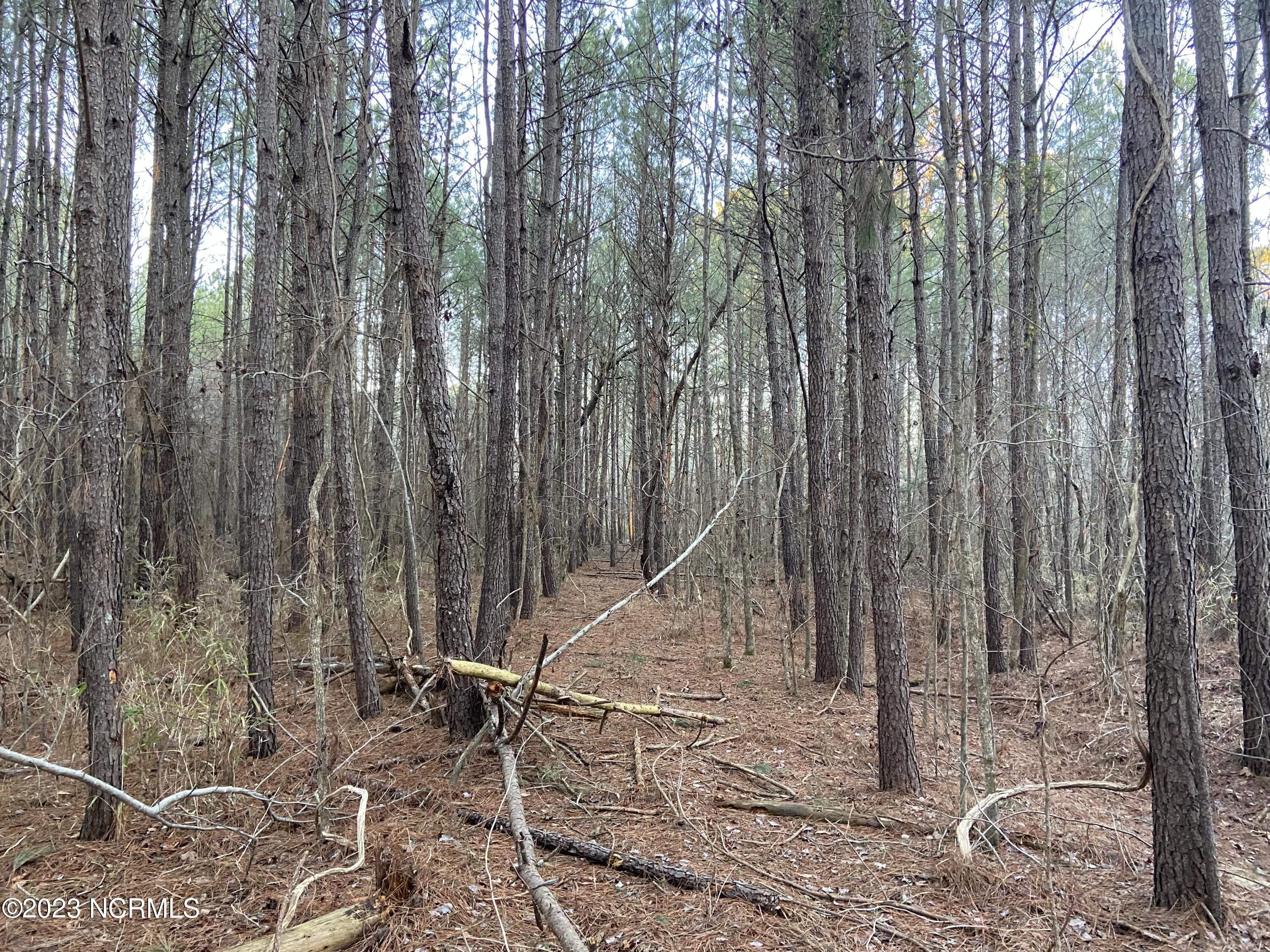 0 Autry Road Rocky Mount, NC 27803 - Photo 14 of 18 IMG_6905