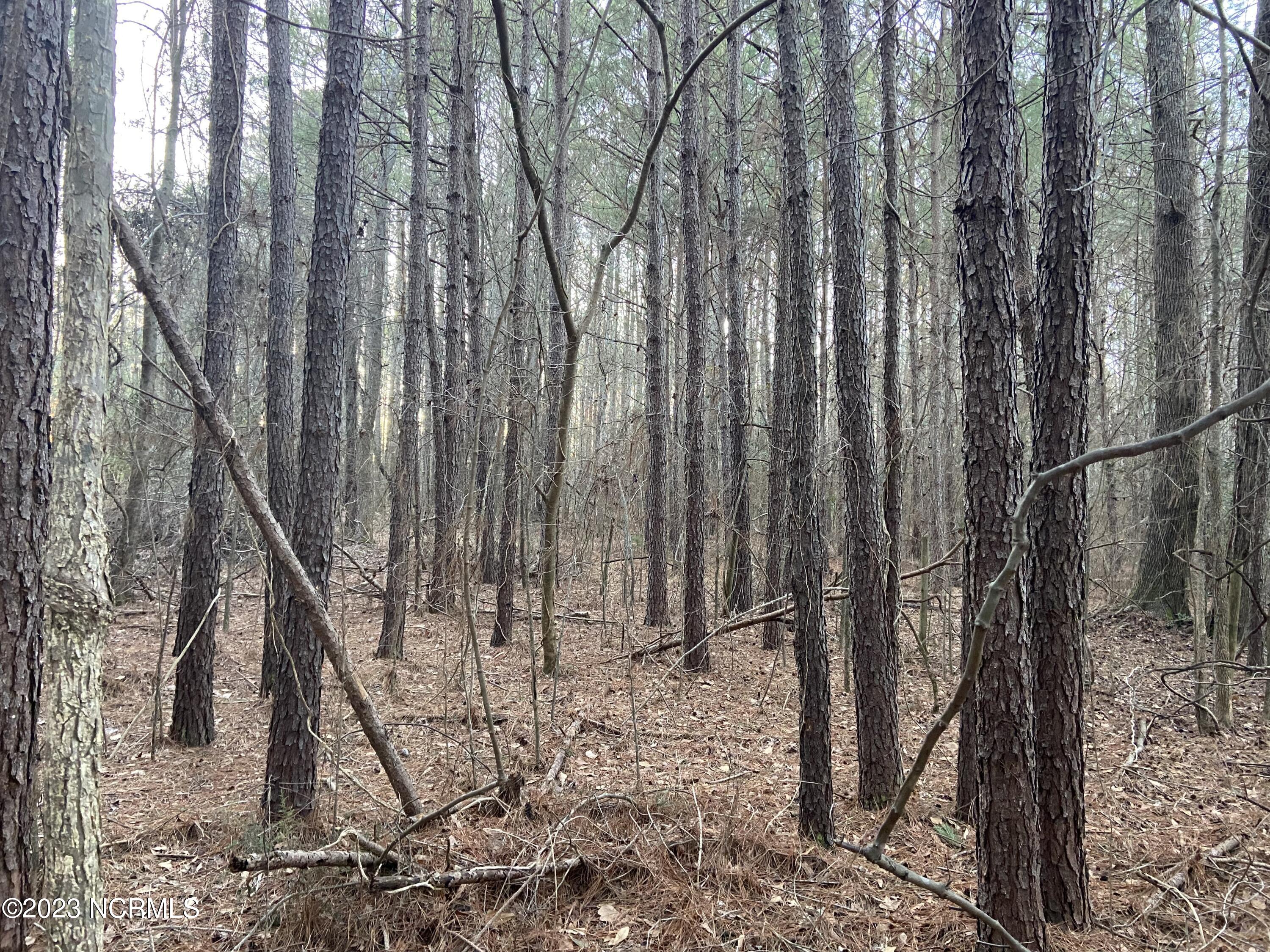 0 Autry Road Rocky Mount, NC 27803 - Photo 15 of 18 IMG_6907