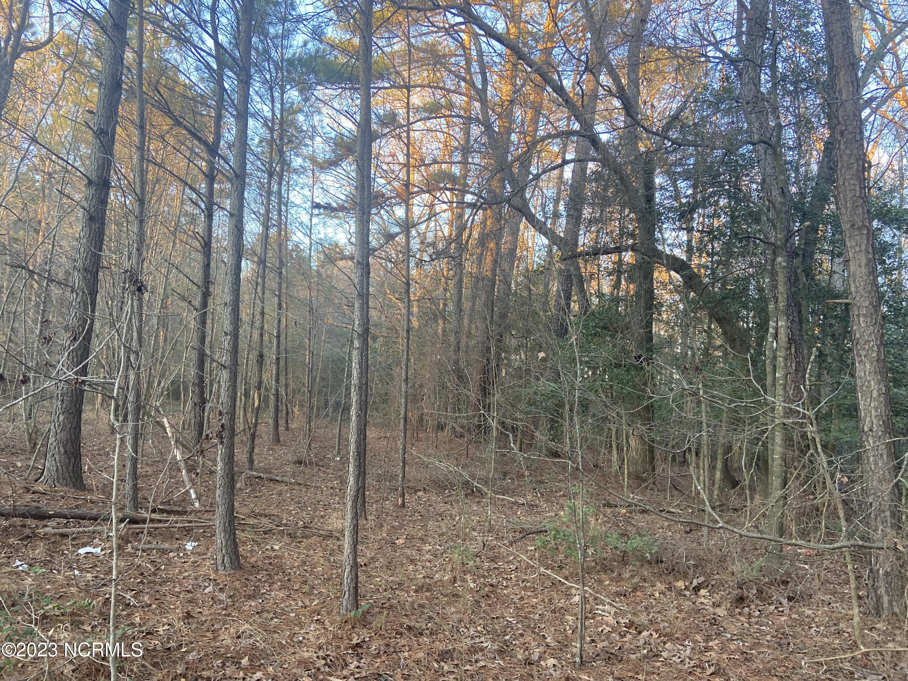0 Autry Road Rocky Mount, NC 27803 - Photo 16 of 18 IMG_6901