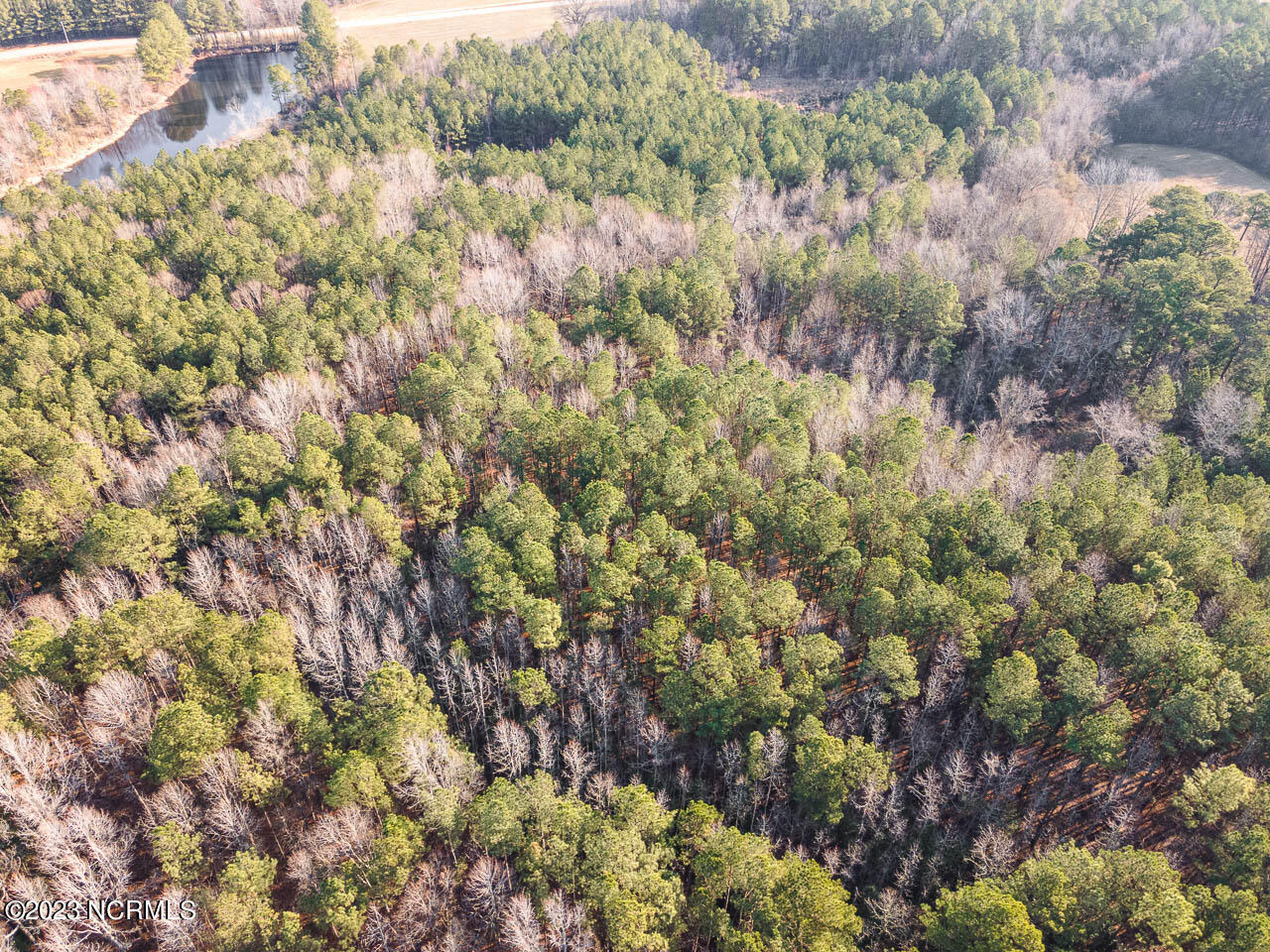 0 Autry Road Rocky Mount, NC 27803 - Photo 4 of 18 DJI_0014-Edit