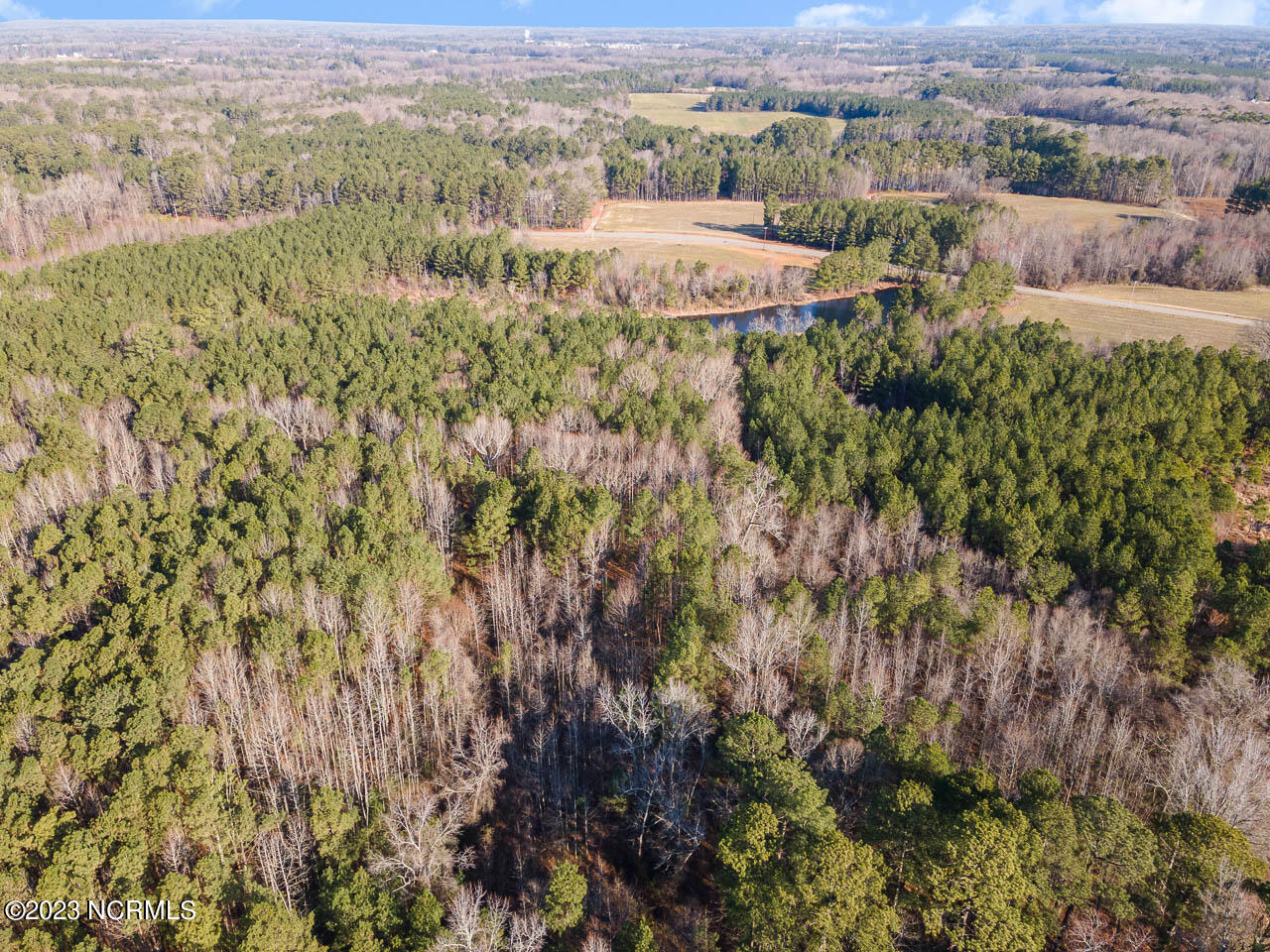 0 Autry Road Rocky Mount, NC 27803 - Photo 6 of 18 DJI_0016-Edit