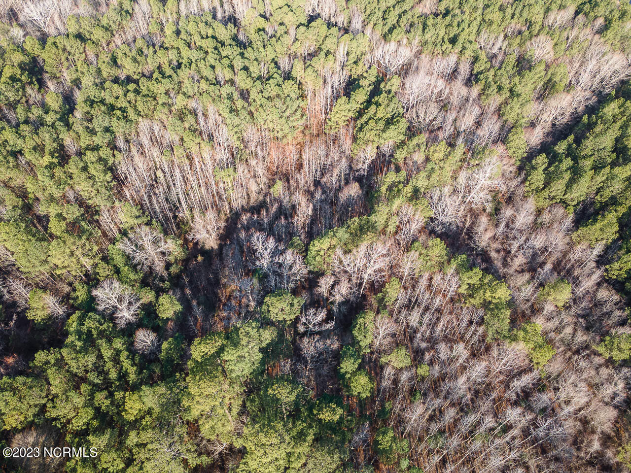 0 Autry Road Rocky Mount, NC 27803 - Photo 9 of 18 DJI_0013-Edit