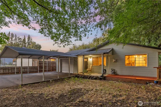 a view of a backyard with a large tree