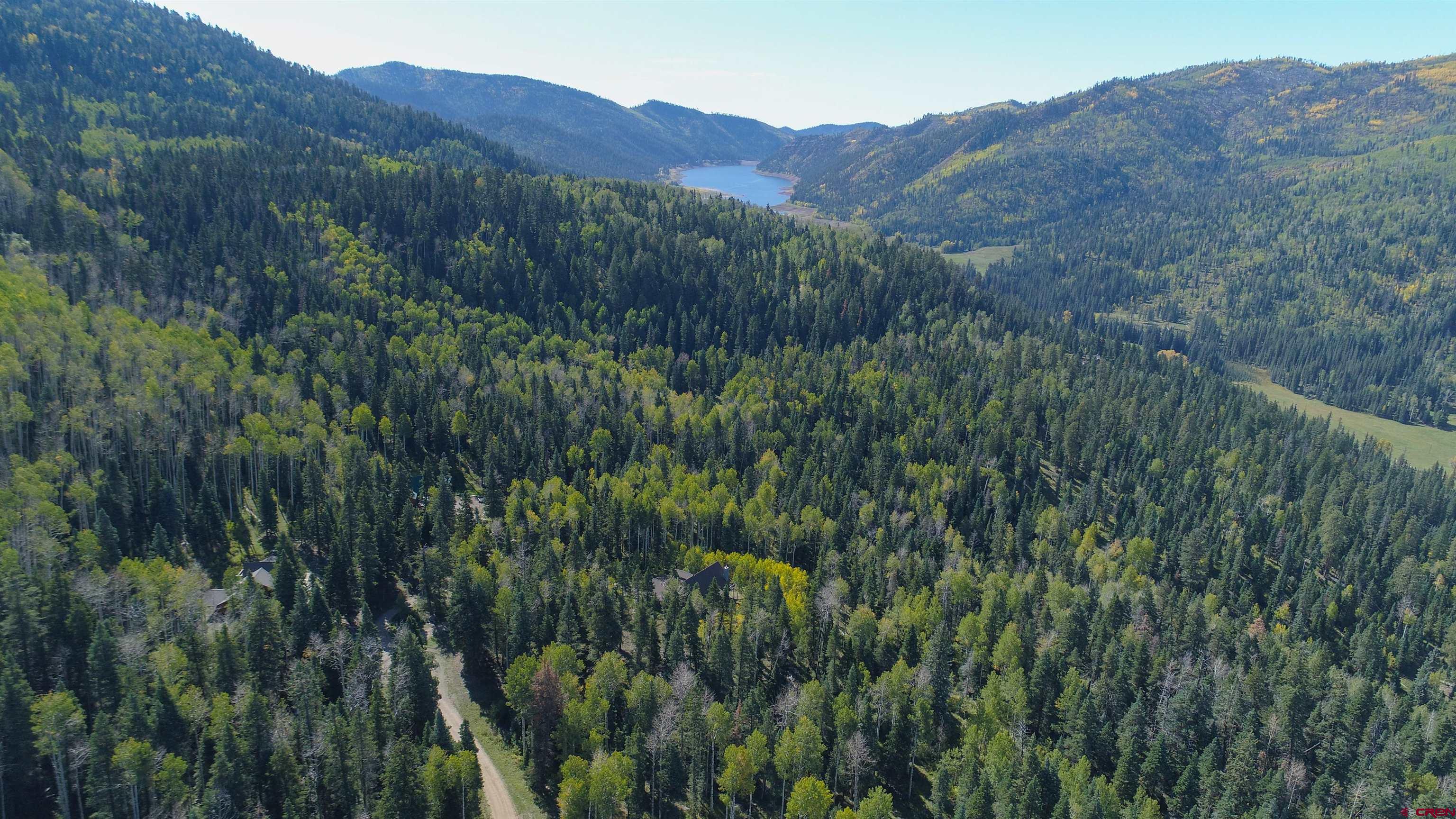 261 Aspen Drive Durango, CO 81301 - Photo 6 of 34 a view of a lush green forest with a house