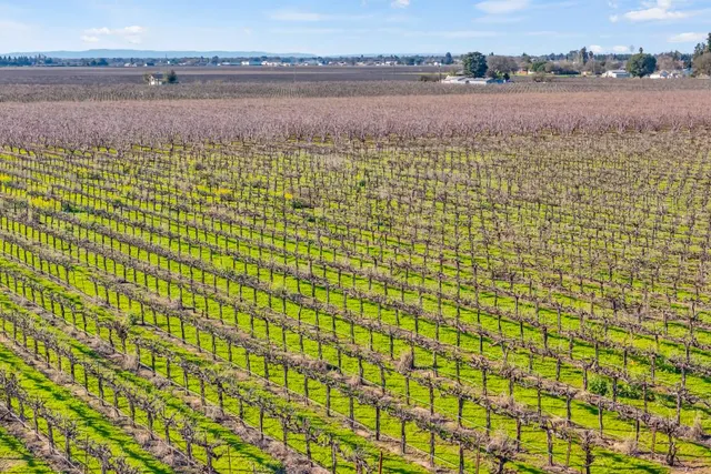 $1,499,000 | 6539 East Peltier Road, Acampo, CA 95220