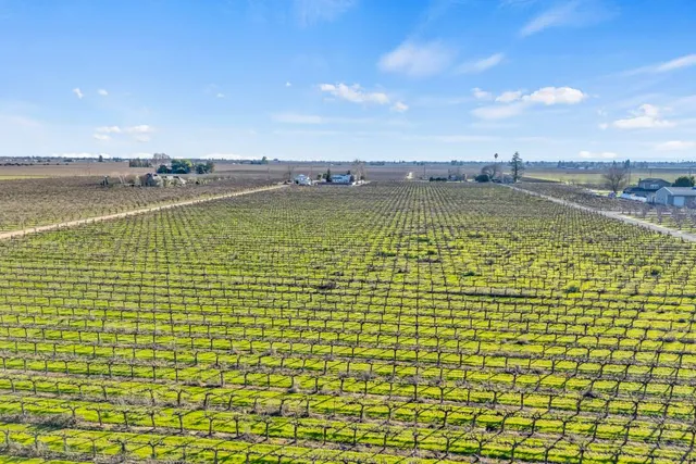 $1,499,000 | 6539 East Peltier Road, Acampo, CA 95220