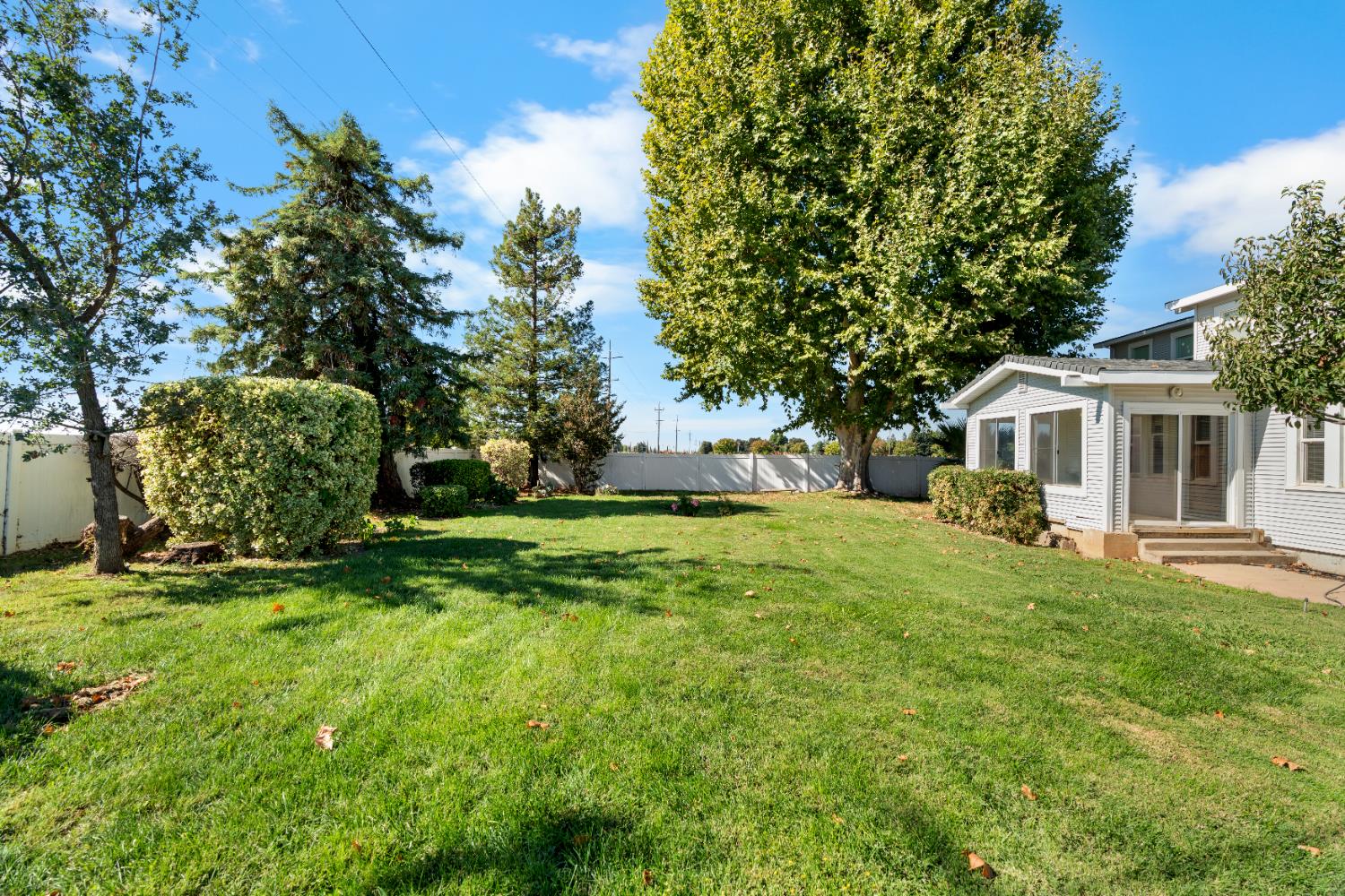 6539 East Peltier Road Acampo, CA 95220 - Photo 8 of 70 a view of a house with a big yard and large trees