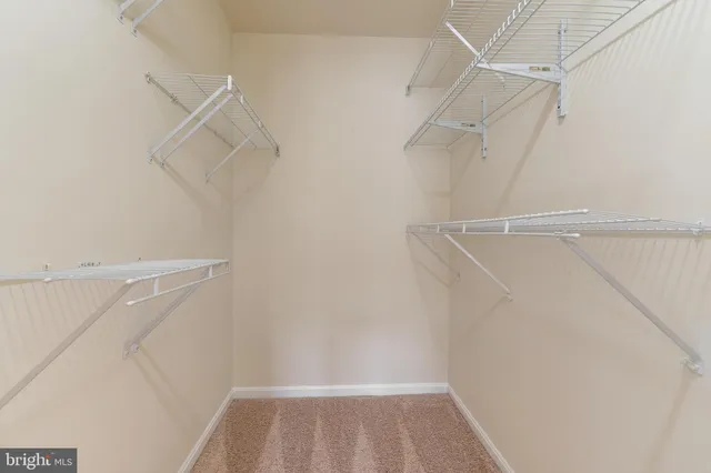 a view of walk in closet with racks on the wall