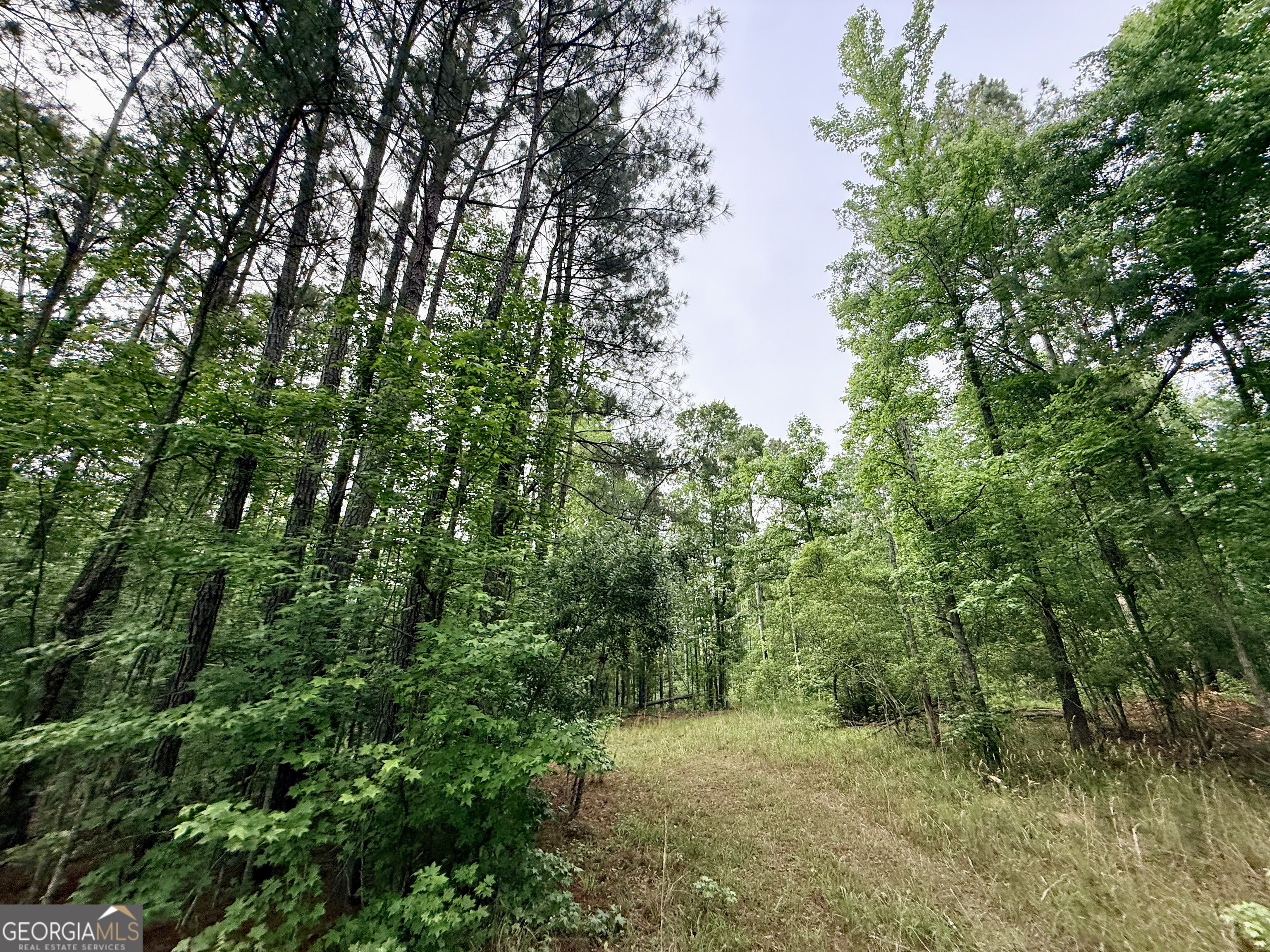 715 Fulsome Creek Road Sparta, GA 31087 - Photo 65 of 117